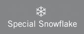 Special Snowflake